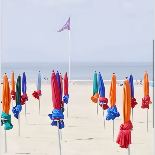 Divine, l'été ☀️
C'est le retour de nos 4 premières éditions estivales. Cet été, retrouvez l'énergie d'Orange rouge, la chaleur de Narguilé, le sourire de Fleur d'orange et la tendresse de Clair d'iris.
